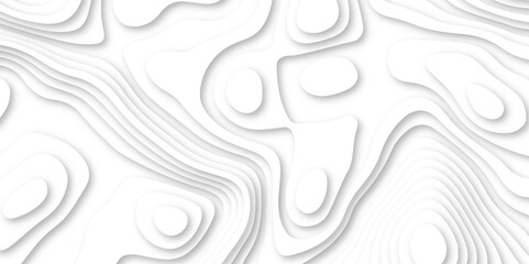 Abstract white paper cut shapes background with shadow and topography map concept texture. White papercut background 3d realistic design use for ads banner and advertising print design vector.