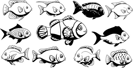 Fish on a white background.The clown fish is a marine animal that swims underwater. Vector illustration of cartoon amphiprion isolated on white background.