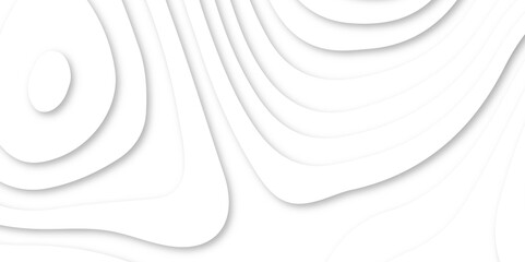 Abstract white paper cut shapes background with shadow and topography map concept texture. White papercut background 3d realistic design use for ads banner and advertising print design vector.