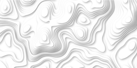 Abstract white paper cut shapes background with shadow and topography map concept texture. White papercut background 3d realistic design use for ads banner and advertising print design vector.
