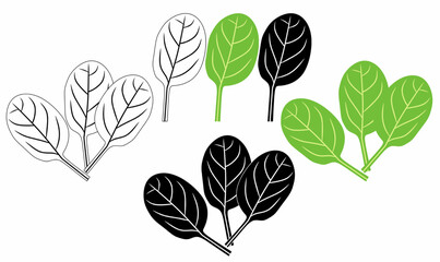 Vector illustration line,silhouette of spinach leaf variations in outline, black, and green fill. Great for icon,logo,symbol eco design, natural food, labels, decor. 