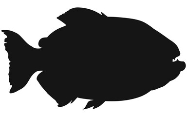 Silhouette vector of a fish predator.