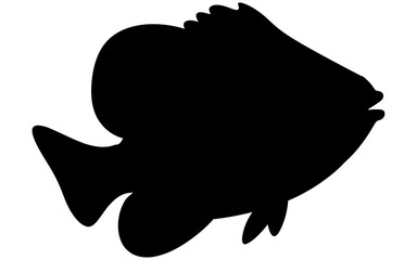 Silhouette vector of a sea fish in side profile, showcasing a streamlined body and fins, depicted in solid black with clean lines, symbolizing marine life and ocean wildlife.