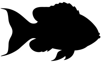 Fototapeta premium Silhouette vector of a sea fish in side profile, showcasing a streamlined body and fins, depicted in solid black with clean lines, symbolizing marine life and ocean wildlife.