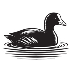 Soft Lines Coot silhouette in natural scene – Coot illustration – Minimalist Coot vector – Bird silhouette – Bird vector

