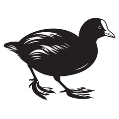 Graceful Coot silhouette with natural poise – Coot illustration – Minimalist Coot vector – Bird silhouette – Bird vector


