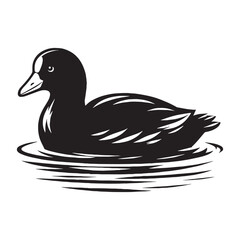 Still Water Coot silhouette with subtle detail – Coot illustration – Minimalist Coot vector – Bird silhouette – Bird vector

