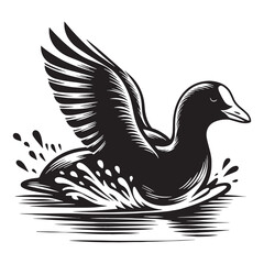 Floating Coot silhouette with sleek form – Coot illustration – Minimalist Coot vector – Bird silhouette – Bird vector

