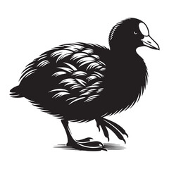 Coot silhouette gliding across the pond – Coot illustration – Minimalist Coot vector – Bird silhouette – Bird vector

