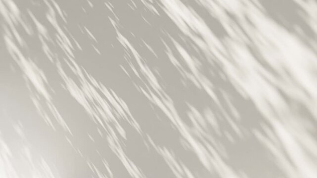 木々の葉の間から差す光と影 木漏れ日 穏やかに吹く風