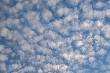 Blue mackerel sky with soft fluffy clouds. altocumulus clouds displaying an undulating, rippling...