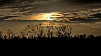 Cloudy sky with evening sun over bare tree silhouettes. Bourgoyen nature reserve, Ghent, Flanders, Belgium 