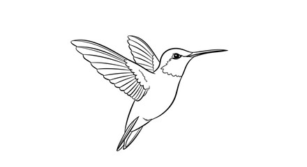 Hummingbird in flight against a white background