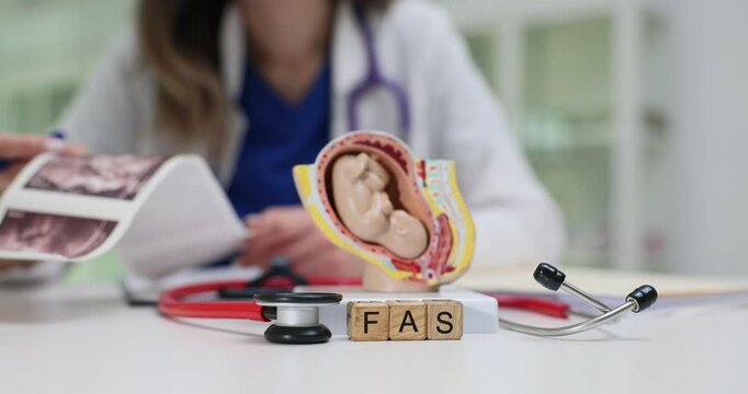 Medical professional reviews ultrasound images near fetal anatomical model and cubes with FAS. Fetal alcohol spectrum disorders diagnostic process