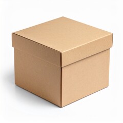 Brown Cardboard Square Box on White Background