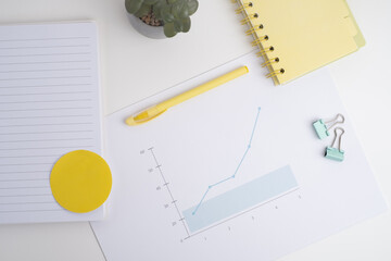 Financial graphs, statistics diagram and data. Annual presentation, infographic. Economic report,...