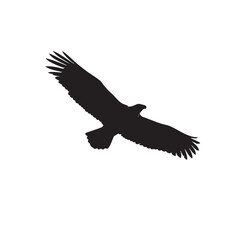 Black silhouette of Bald eagle, centered on plain white background, American Independence day theme, symbol, 4th july