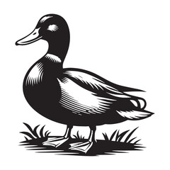 Elegant Mallard silhouette in flight – Mallard illustration – Minimalist Mallard vector – Bird silhouette – Bird vector

