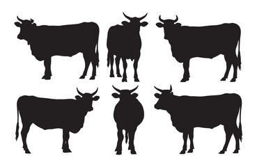 Cow illustration collection with different poses and angles.