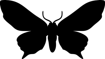 Silhouette of a hawk moth, symmetrical front view, isolated, minimalist design









