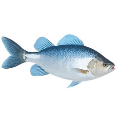 Realistic Blue Fish Vector Illustration