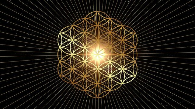 Video animation of Gold Flower of Life, Sacred Geometry. Loop footage of Mystic Seed of Life mandala, golden radiant drawing, crop circles, shiny special effects on black starry galaxy background