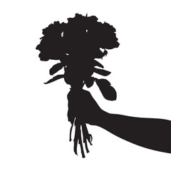 Silhouette of Hand Holding Flower Bouquet Isolated on White Background