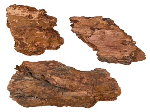 Set of tree bark mulch isolated on a transparent background. Full depth of field. PNG.