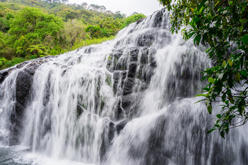 waterfall in the forest