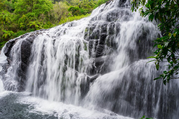 waterfall in the forest