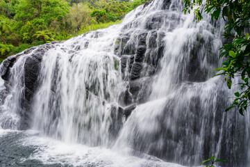 waterfall in the forest