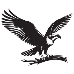 Graceful Osprey silhouette soaring high – Osprey illustration – Minimalist Osprey vector – Bird silhouette

