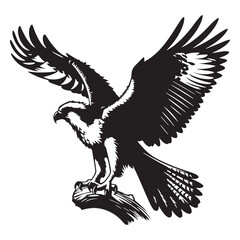 Osprey silhouette gliding above lakes – Osprey illustration – Minimalist Osprey vector – Bird silhouette

