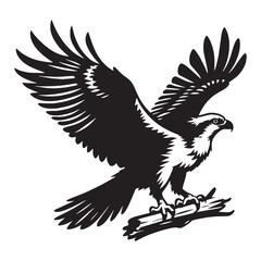 Obraz premium Powerful Osprey silhouette diving – Osprey illustration – Minimalist Osprey vector – Bird silhouette