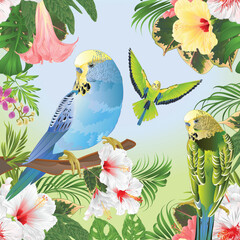 Budgies blue and green tropical birds with tropical plants watercolor vintage vector ilustration editable hand draw