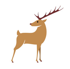 Elegant brown deer with antlers standing profile