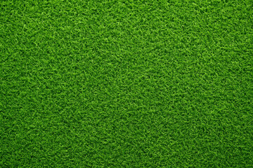 Green grass texture background.