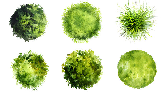 green grass isolated on white background, Set of watercolor tree top view for landscape plan and architecture layout.