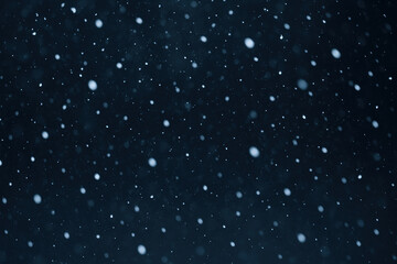 Obraz premium Snow falling on a twig with red berries against a black background.