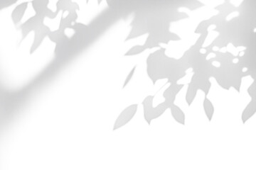 shadow overlay effects of realistic abstract natural tree leaves shadow on wall background,Summer sunlight and shadow overlay effect,shadow for photo interior backdrop studio mockup