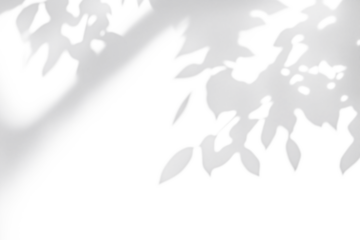 shadow overlay effects of realistic abstract natural tree leaves shadow on wall background,Summer sunlight and shadow overlay effect,shadow for photo interior backdrop studio mockup