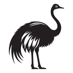 Desert Runner Ostrich silhouette – Ostrich illustration – Minimalist Ostrich vector – Bird silhouette – Bird vector

