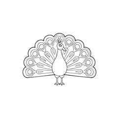 Elegant peacock outline illustration bird design