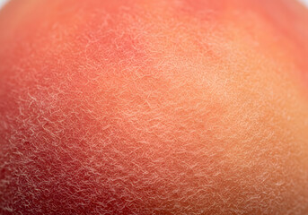 Close up view of textured Peach fruits surface showing fine details and soft fuzzy skin in warm tones