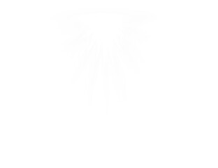 White light rays isolated on transparent background png overlay effect radiating downward bright illumination