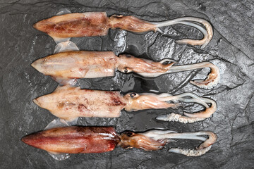 fresh squids close up on a slate board in kitchen ready to fry or cook