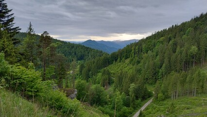 mountain landscape with trees and clouds