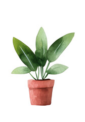 Watercolor illustration of potted plant with green leaves in terracotta pot, evoking sense of tranquility and nature