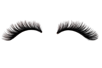 Black Eyebrows and Eyelashes Permanent Make Up and Tattooing Concept for Beauty Cosmetic Salon. Vector illustration of Makeup. Ai Generated Images