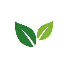 Flat green leaf logo design